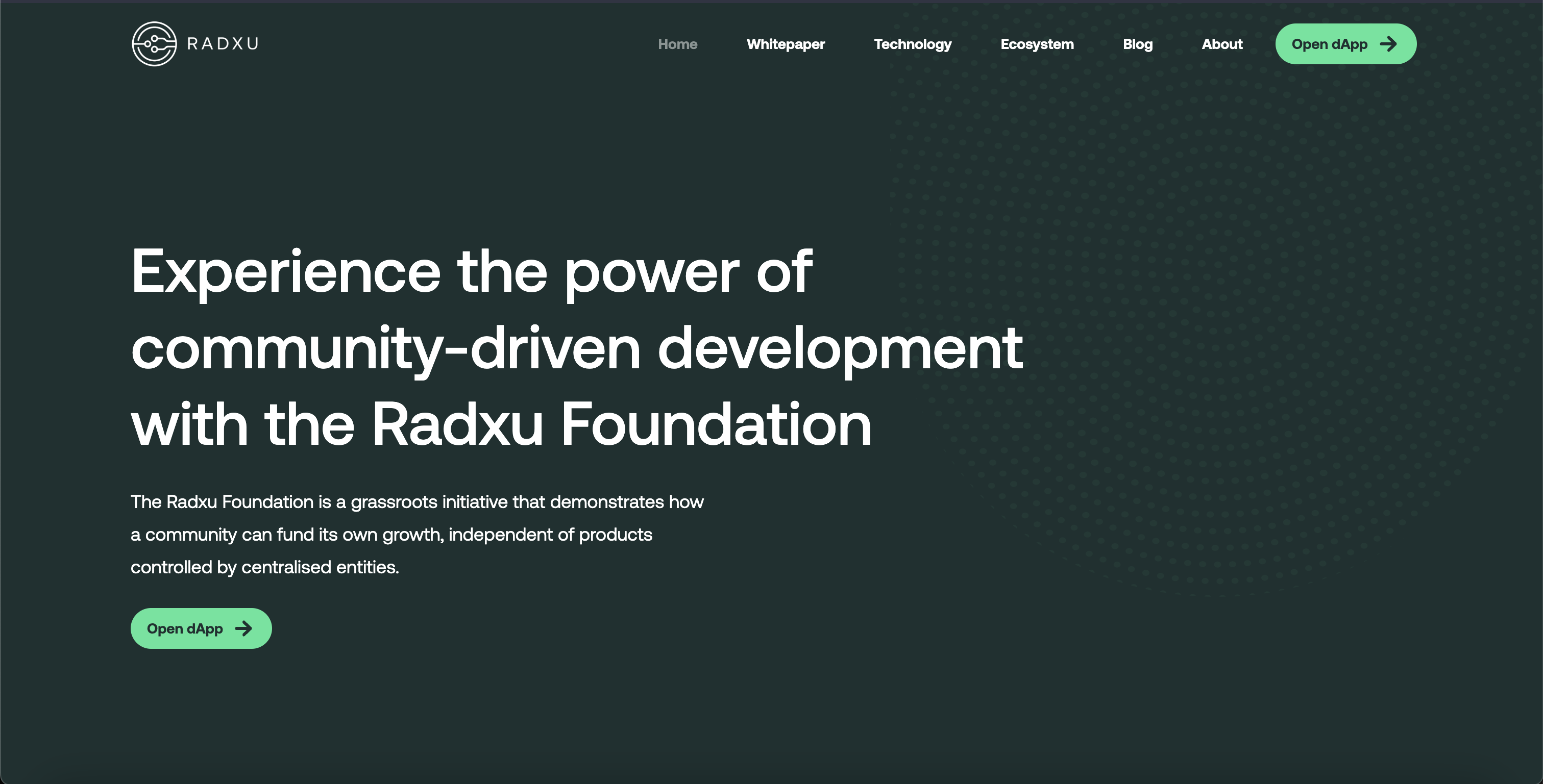 Radxu Landing Desktop 1